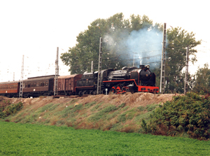 Tren de la Fresa