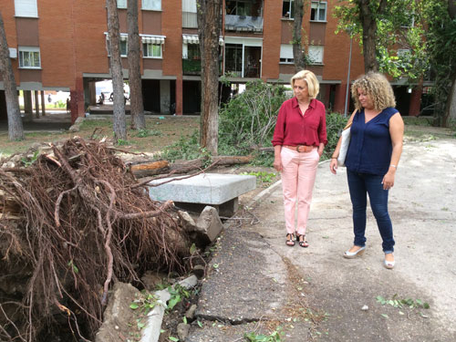 Daños de la tormenta