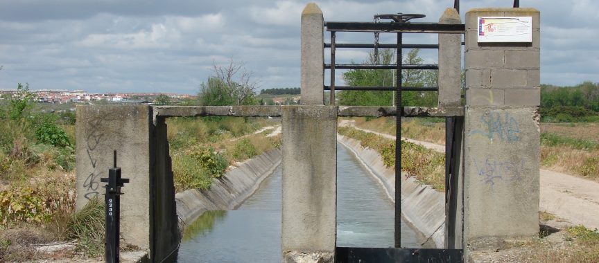 Foto cedida por Ayuntamiento de Aranjuez