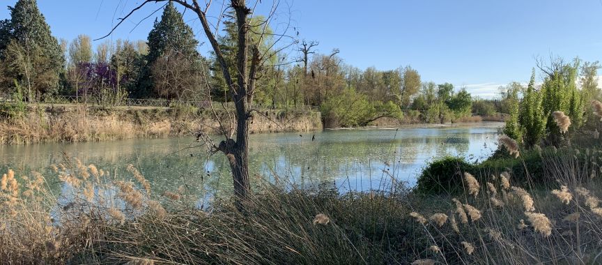 Foto cedida por Ayuntamiento de Aranjuez