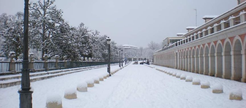 Foto cedida por Ayuntamiento de Aranjuez