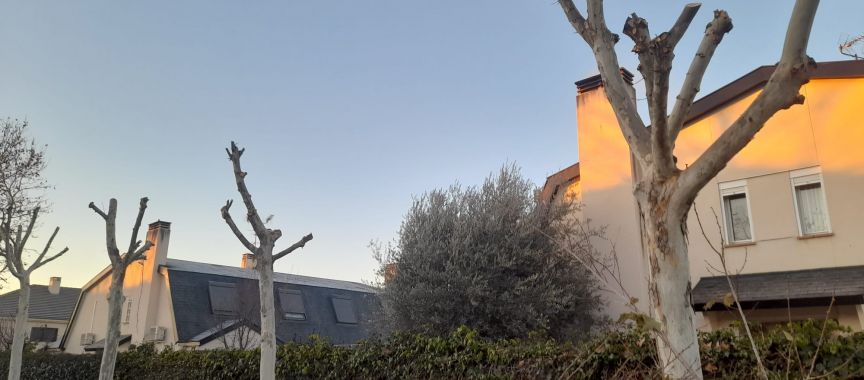 Foto cedida por Ayuntamiento de Aranjuez